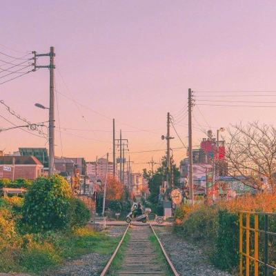 bb平台体育app官网