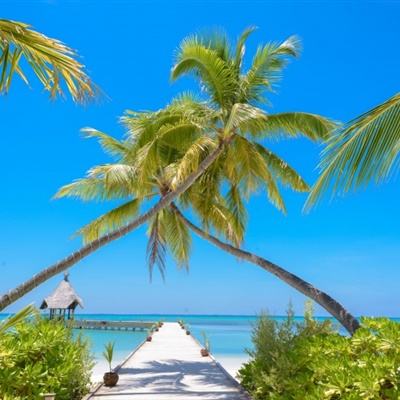 半岛·综合体育app下载