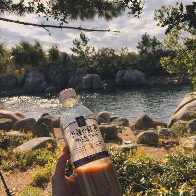 电玩城金鲨银鲨app下载