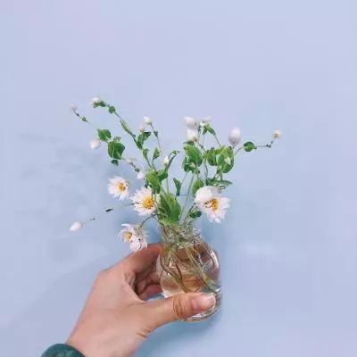 天博tb·体育综合下载手机版