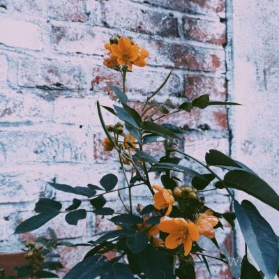 kaiyun·体育下载手机版