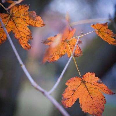 半岛·综合体育app下载